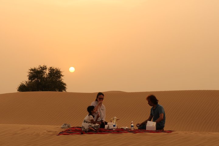 Private 4x4 Sunset Desert Drive with Wildlife Experience - Image 4