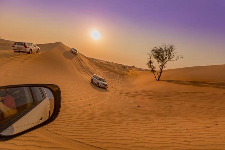 Private Abu Dhabi Desert Safari From Dubai with Hot BBQ Dinner  - Image 2