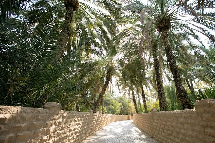 Private Al Ain City Tour From Dubai with Buffet Lunch  - Image 3