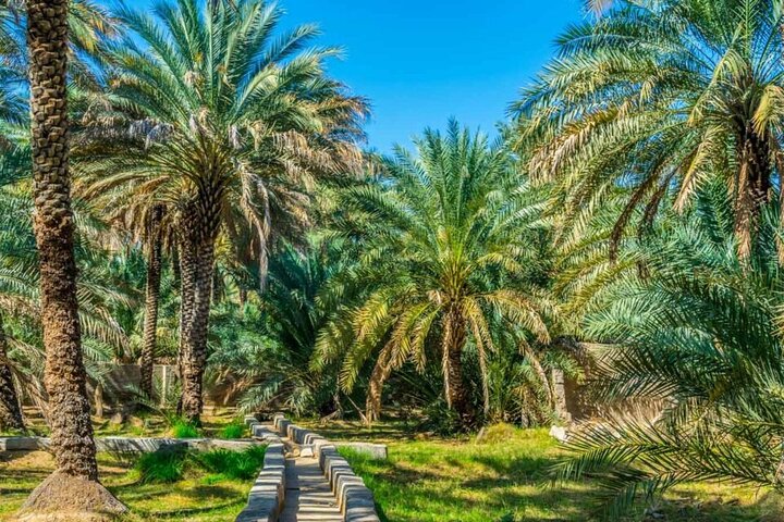 Private Al Ain Tour by 4x4 Vehicle with Zoo Tickets  - Image 3