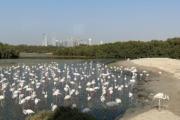 Private Day Trip in Safari Dessert with Flamingos Bird Watching - Image 5