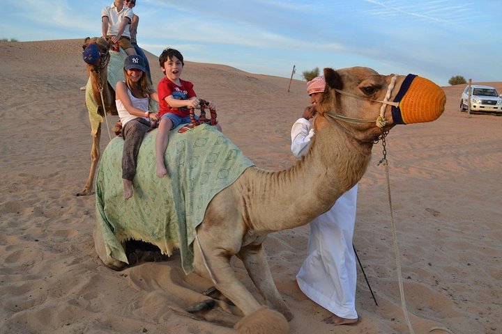 Private Desert Safari From Dubai: Including Buffet Dinner and Live Entertainment - Image 2