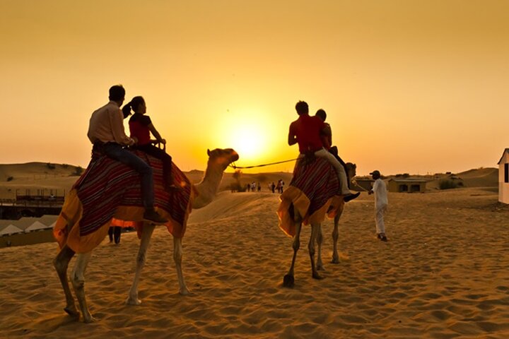  Private Desert Safari Tour in Dubai - Image 3
