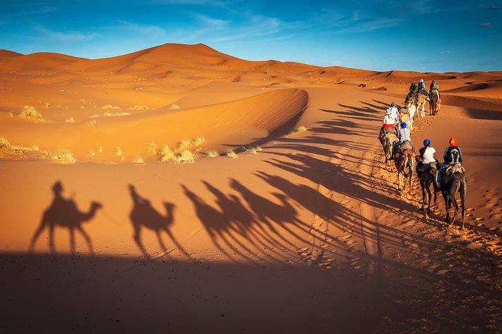 Private Desert Safari with Camel Ride - Image 1