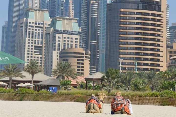 Private - Dubai Full Day City Tour - Image 5