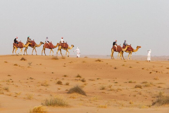 Private Evening Desert Safari BBQ Dinner & Camel Ride & Live Show - Image 4