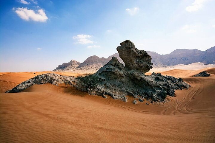 Private Experience in Fossil Rock Desert Safari - Image 5
