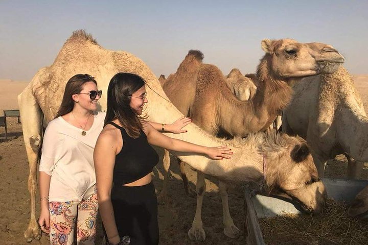 Private Full Day Liwa Desert Safari Tour with Lunch From Dubai  - Image 2