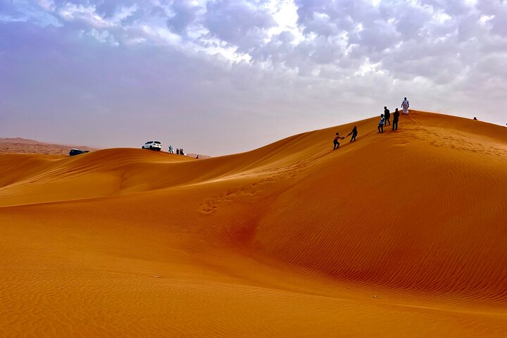 Private Full Day Safari Tour in Dubai with Dinner - Image 5