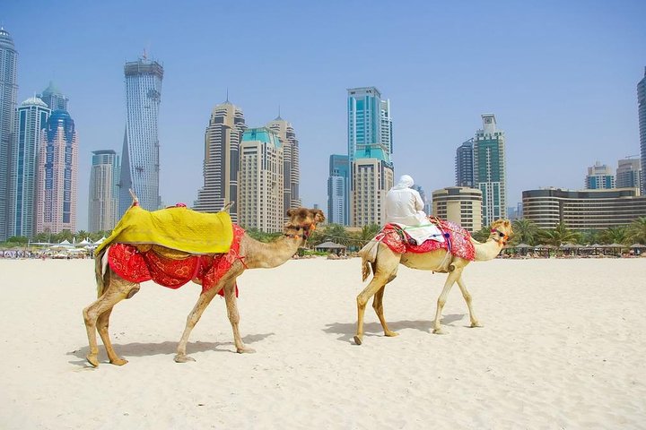 Private Half Day Modern Dubai City tour with Lunch - Image 5
