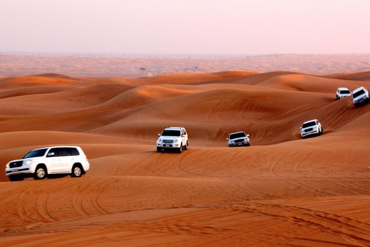 Private Morning Desert Safari of Arabian Desert with Camel Ride - Image 4