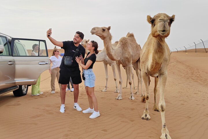 Private Morning Desert Safari Tour in Lehbab,Dubai - Image 3