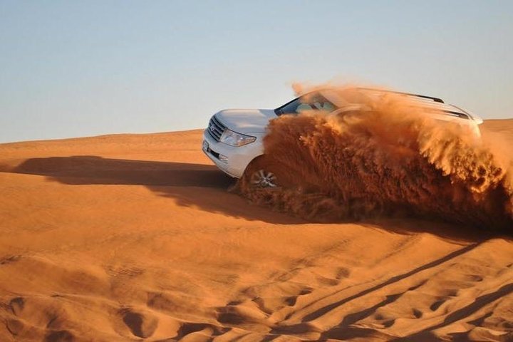 Private Morning Safari With 10 Minutes Camel Ride - Image 1