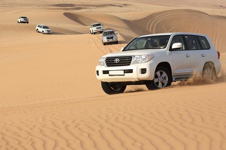 PRIVATE Red Dune Desert Safari, BBQ Dinner, Camel Ride & Falcon Photo - Image 3