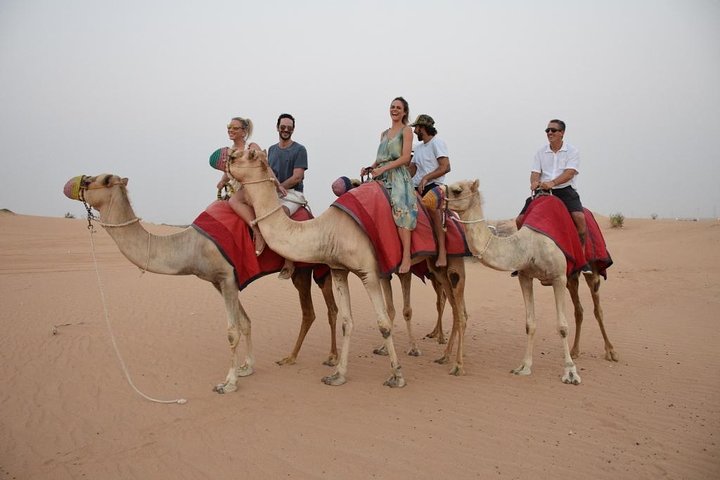 Private: Sunrise Desert Camel Trek on the Bedouin's Trail with Breakfast - Image 1