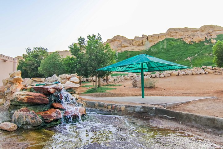 Private Tour : Al Ain City Sightseeing with Lunch from Dubai - Image 1
