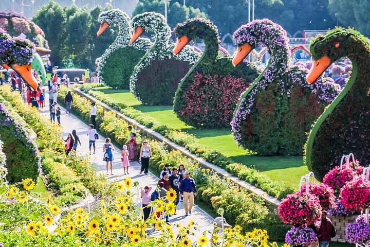 Private Tour in Miracle Garden & Global Village Dubai  - Image 3