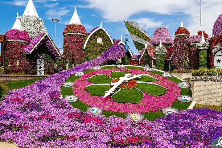 Private Tour in Miracle Garden & Global Village Dubai  - Image 4