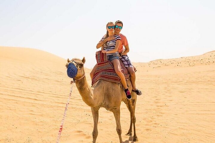 Private Tour Morning Desert Safari in Dubai - Image 5