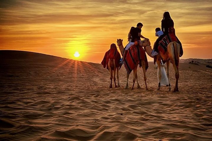 Quad Bike Self-drive & Camel Trekking Experience In Red Dunes Desert  - Image 1