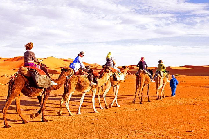 Red Dunes Desert Safari, Sand Board, Camel Ride with BBQ Dinner in Premium Camp - Image 3