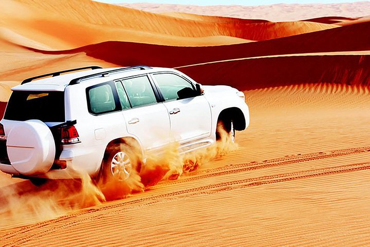 Red Dunes Safari with BBQ dinner, Falcon and Camel Ride - Image 1