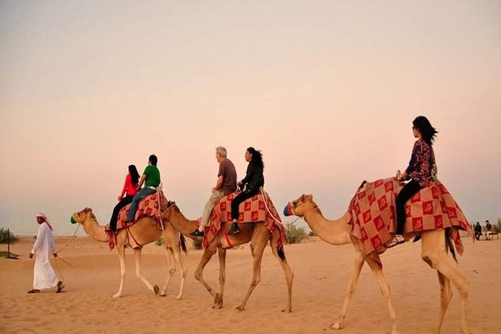 Red Dunes Safari with BBQ dinner, Falcon and Camel Ride - Image 2
