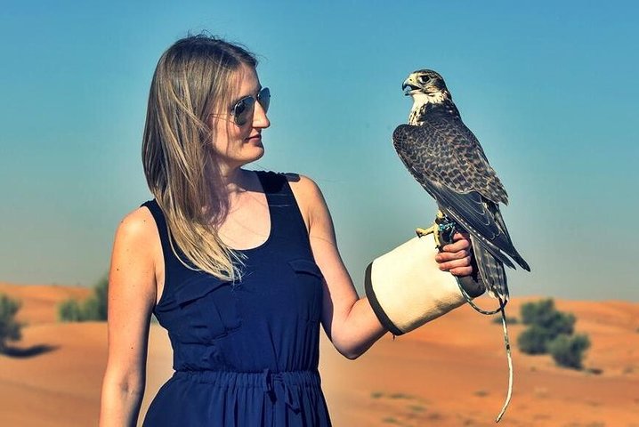Red Dunes Safari with BBQ dinner, Falcon and Camel Ride - Image 3