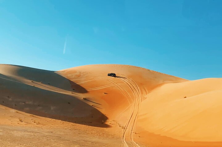 Red Dunes Sand Safari and Camel Ride with BBQ Dinner from Dubai - Image 3