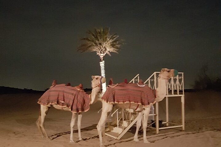 Royal Fortress Fine Dining Desert Safari - Image 3