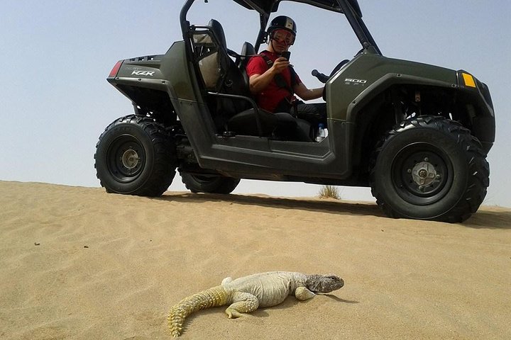 Self-Drive Desert Buggy or Quad Bike Experience with Transport from Dubai - Image 5
