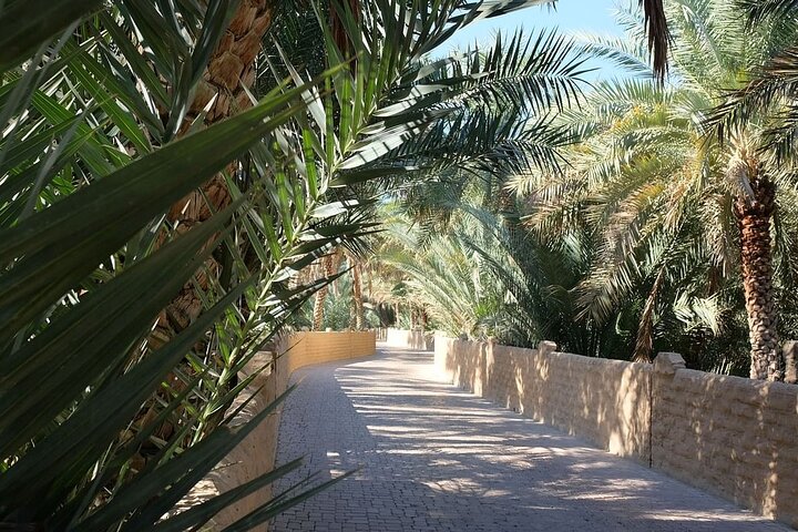 Semi-Private Full-Day Al Ain Cultural Tour from Dubai with Lunch - Image 1