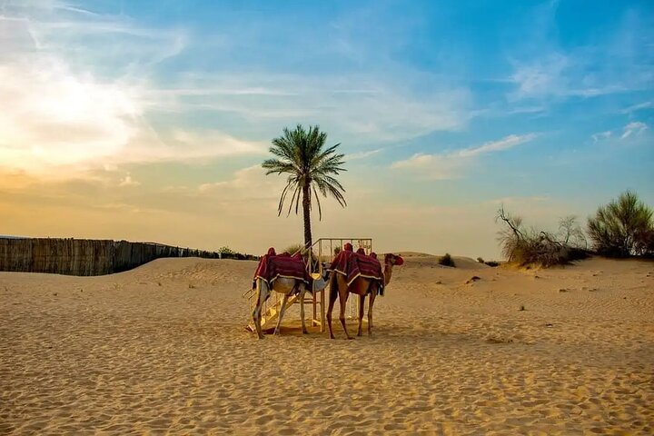 Shared Morning Desert Safari with Breakfast  - Image 5