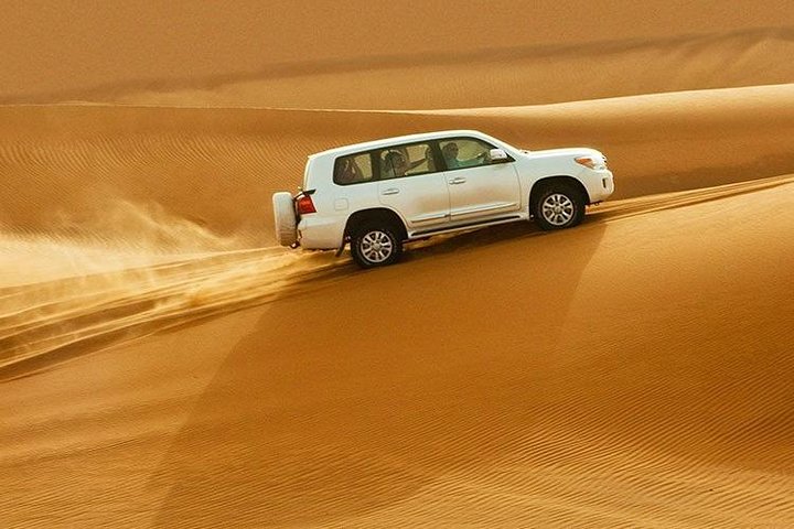 Shore Excursions of Dubai City Tour followed by Desert Safari - Image 2