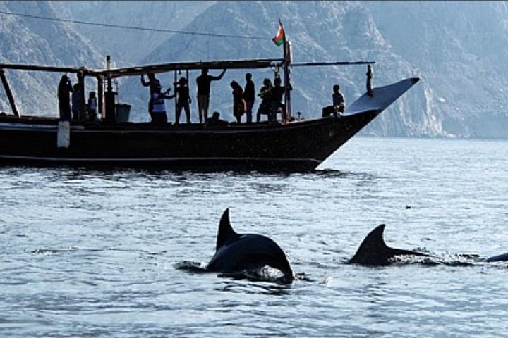 Small-Group Day Trip from Dubai to Musandam, Oman with Lunch - Image 3