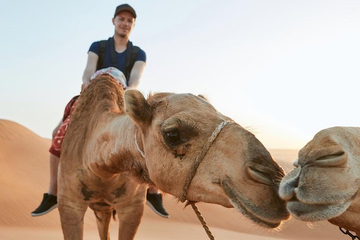 Small Group Guided Red Dune Safari in Quad Bikes with BBQ Dinner - Image 1
