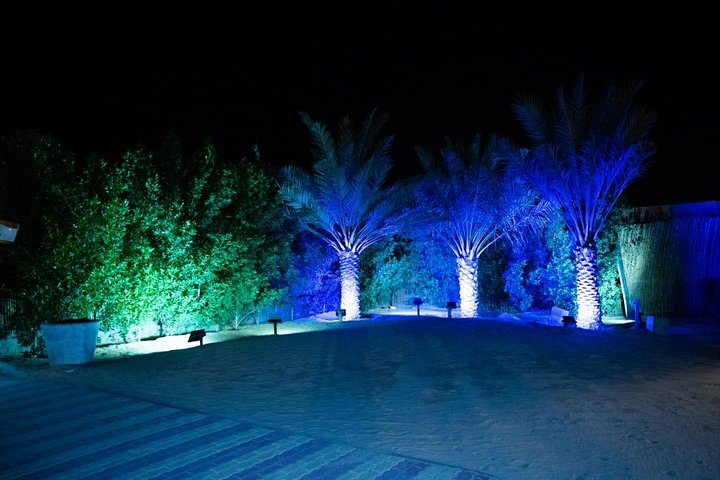Standard Desert Safari, camel ride, BBQ Dinner, Belly Dance Show, Pick & Drop  - Image 4