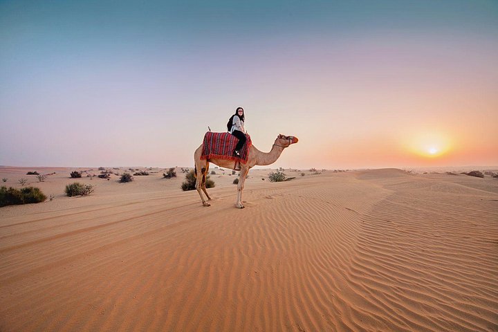 Sun Rise Desesrt Safari with Camel Ride by 4x4 Land Cruiser  - Image 1