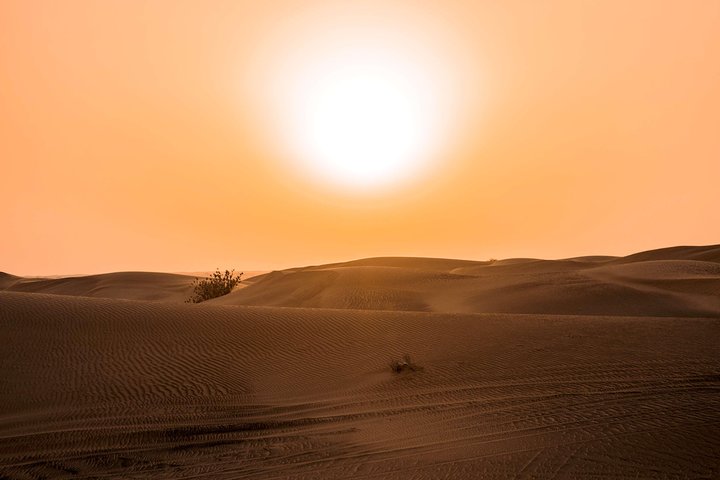 Sundowner Desert Safari and Dinner - Image 5