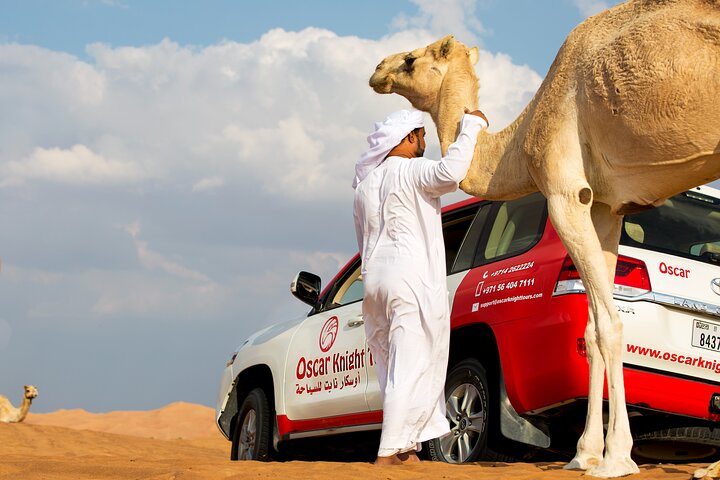Sunset Camel Trekking Safari with Falcon Show and VIP BBQ Dinner - Image 1