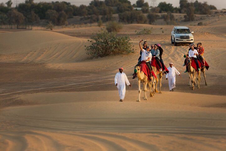 Sunset Camel Trekking Safari with Falcon Show and VIP BBQ Dinner - Image 2