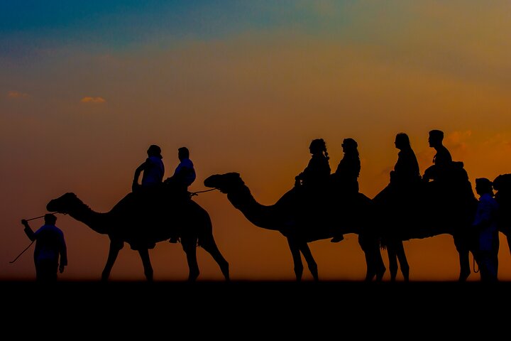 Sunset Camel Trekking Safari with Falcon Show and VIP BBQ Dinner - Image 3