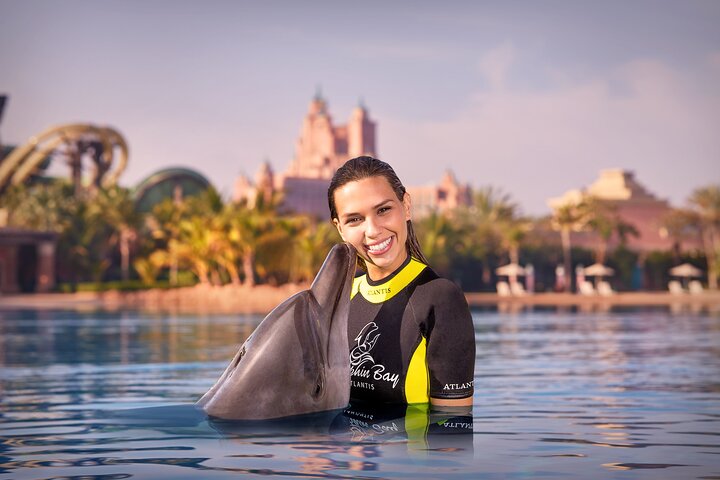 Swim with Dolphins + Evening Safari & BBQ dinner - Pickup only for Safaris - Image 2