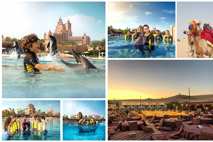 Swim with Dolphins + Evening Safari & BBQ dinner - Pickup only for Safaris - Image 1