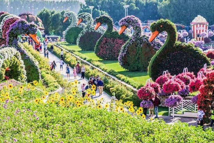 Three at One Time !! Dubai Miracle Garden with Butterfly Garden & Global Village - Image 2