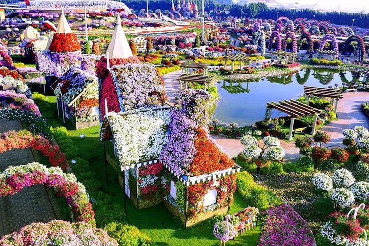 Three at One Time !! Dubai Miracle Garden with Butterfly Garden & Global Village - Image 5