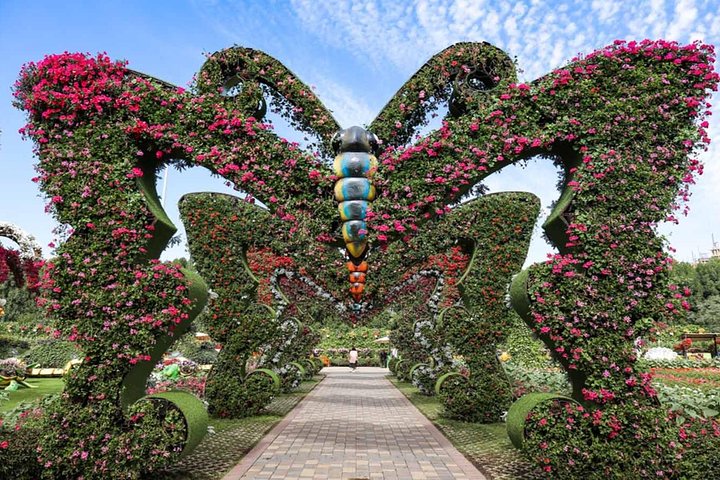 Three at One Time !! Dubai Miracle Garden with Butterfly Garden & Global Village - Image 4