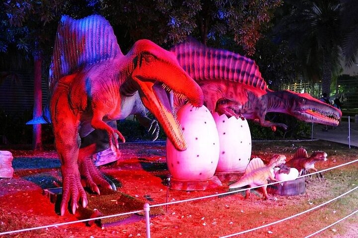 Visit Dubai Garden Glow with Optional Pick up and Drop off - Image 4