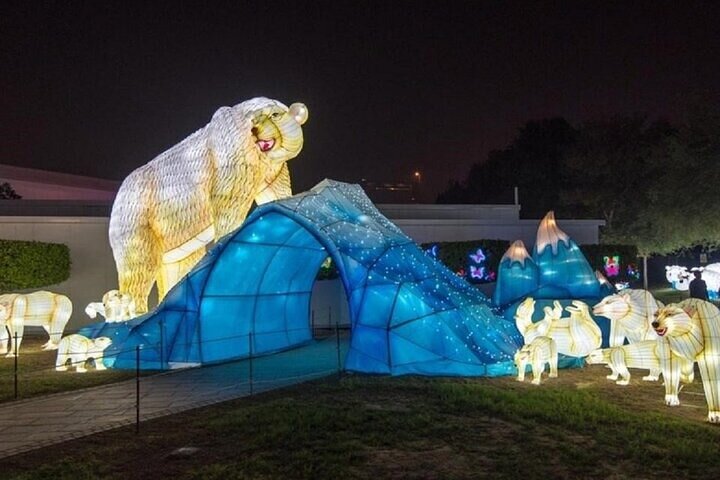 Visit Dubai Garden Glow with Optional Pick up and Drop off - Image 3