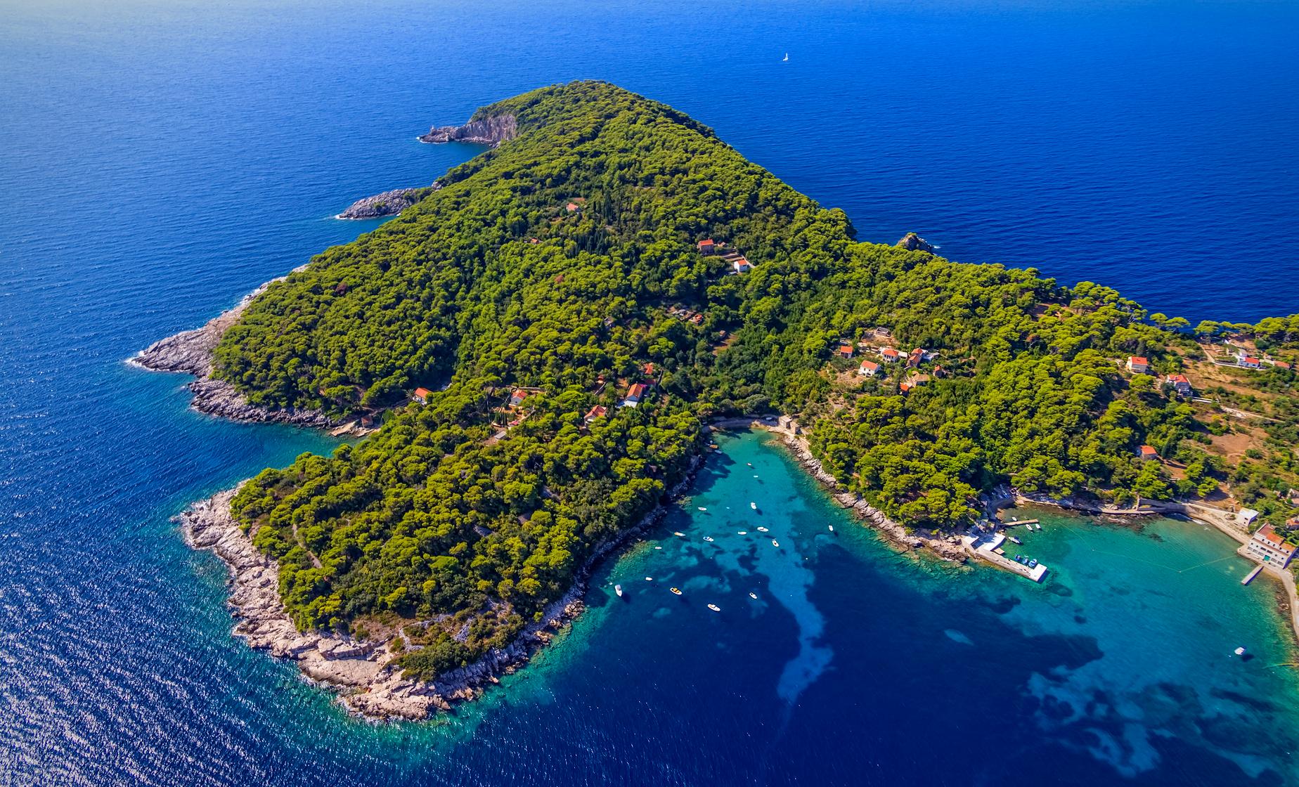Islands and Fish Tour - Image 1